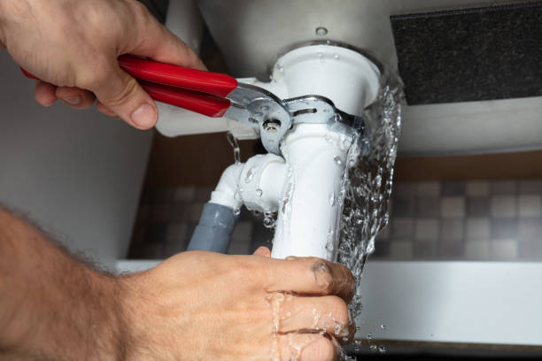 Best Local water damage restoration  in Southeast Arcadia, FL