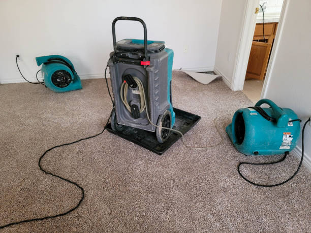 Best Flooded house restoration  in Southeast Arcadia, FL