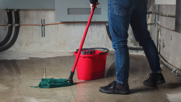 Best Ceiling water damage repair  in Southeast Arcadia, FL